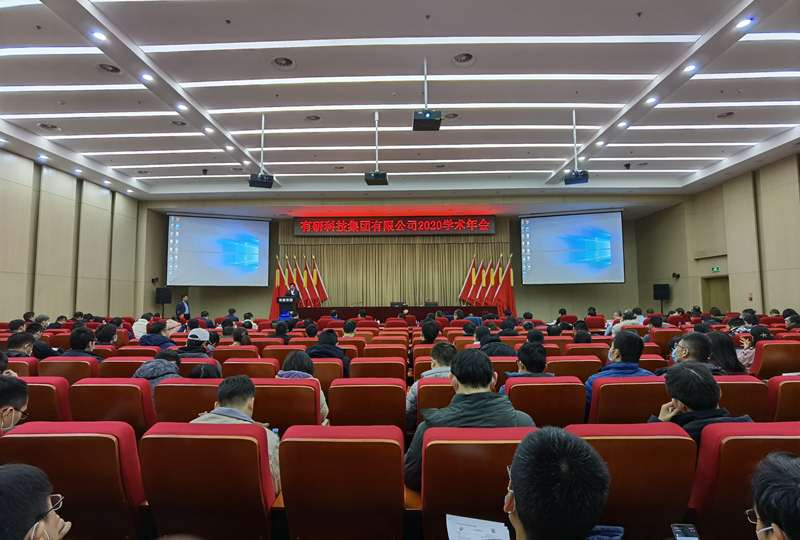 德信游戏平台集团召开2020年学术年会