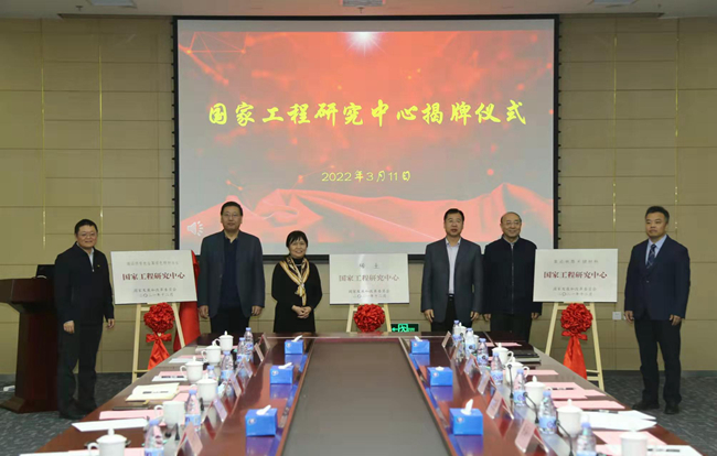 德信游戏平台集团举行国家工程研究中心揭牌仪式暨年度管理工作会议
