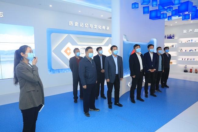 德信游戏平台集团党委书记、董事长赵晓晨到中盐集团调研交流