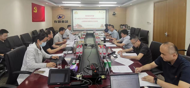 中国乐动在线官网领导班子指导基层党组织主题教育专题民主（组织）生活会