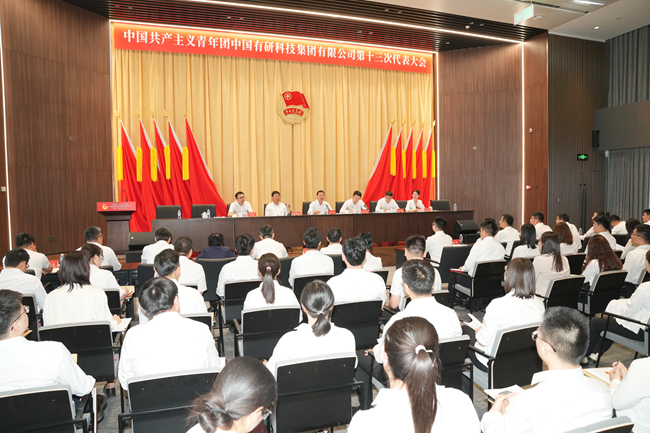 共青团乐动在线官网第十三次代表大会胜利召开