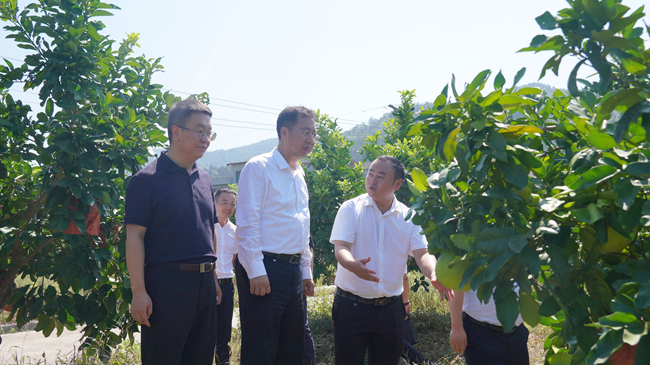 中国乐动在线官网党委书记、董事长赵晓晨赴贵州思南调研集团定点帮扶工作