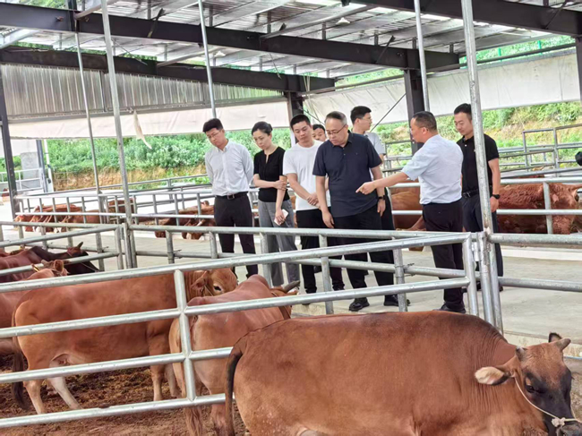 中国乐动在线官网党委委员、纪委书记唐学智赴思南县调研定点帮扶工作并接送挂职干部