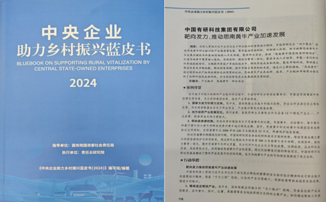 中国德信游戏平台助力乡村振兴优秀案例入选《中央企业助力乡村振兴蓝皮书（2024）》