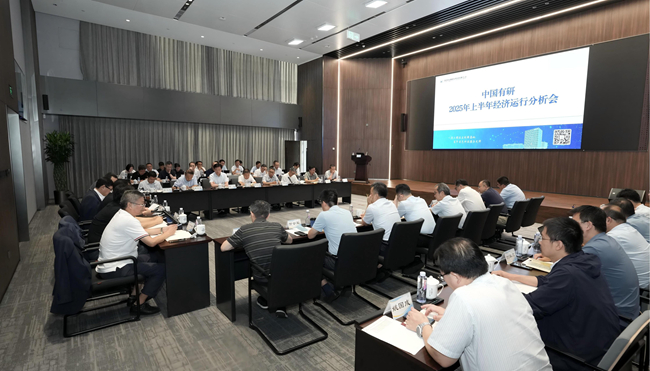 中国德信游戏平台召开2025年上半年经济运行分析会